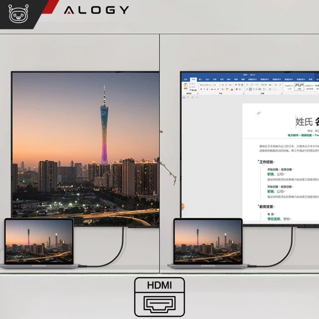 HUB-Splitter Alogy-Adapter für Computer-Laptop mit USB-C auf 3x USB-A 2.0 1x USB-A 3.0 Grau