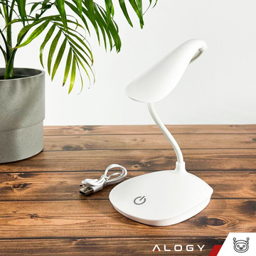 LED desk lamp for desk touch touch school USB standing night wireless Flexible Alogy White
